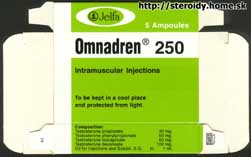 Omnadren (EXPORT) - Obal 1 (84 297 kB)