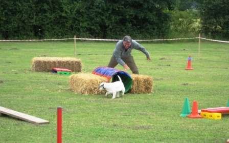Dog agility event, Village Show, July 13th 2008