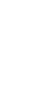 Text Box:  
