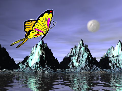 Butterfly