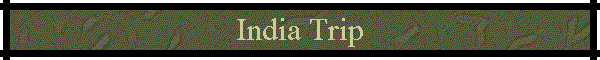 India Trip