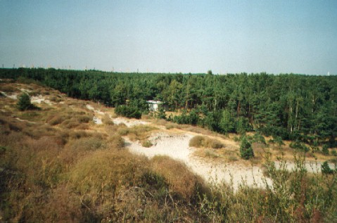 the Couronian Spit, with the cranes of Klaipeda harbour just visible