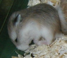 1 cute baby
