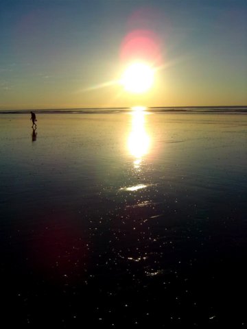 ninetymilebeach.jpg
