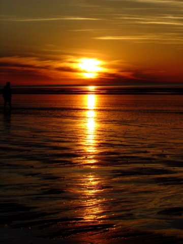 ninetymilebeach2.jpg