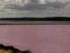 pinklakeportgregory_small.jpg