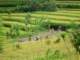 tirtaganggabali_small.jpg
