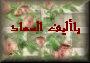 alsohad