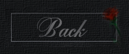 Back to Memoriam & Loss Poetry