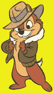 Chip