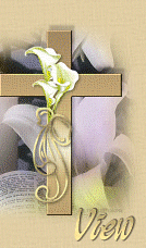 View my Guestbook