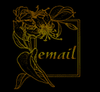 Send Me an Email!