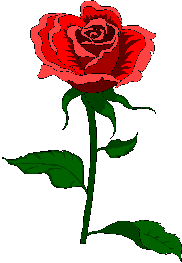 redrose