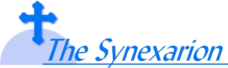 synexheader.jpg (32261 bytes)