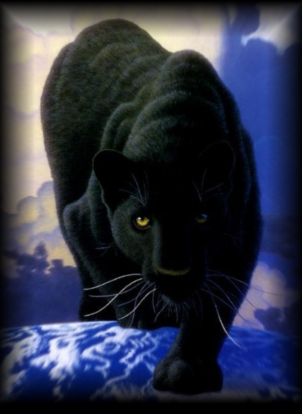 Panther Image