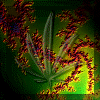 glassbud.gif (187006 bytes)