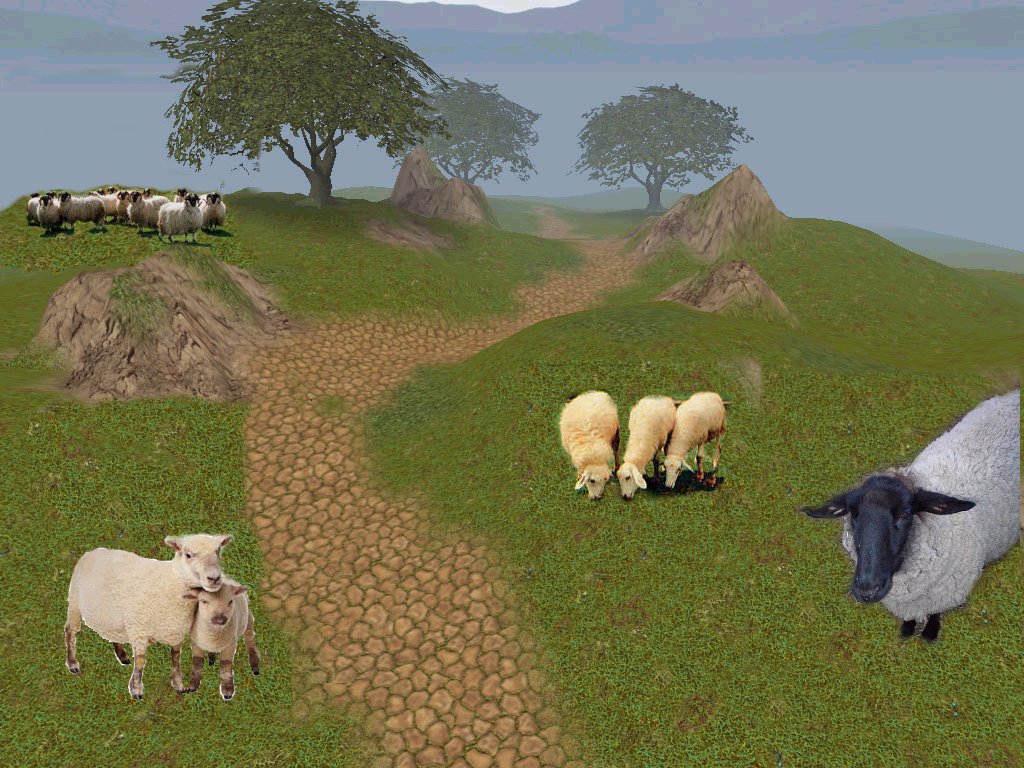 Sheep Background!