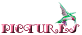 pictures (3651 bytes)
