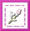 mysquarerose.jpg (2013 bytes)