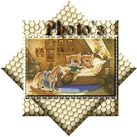 Pictures(21142 bytes)