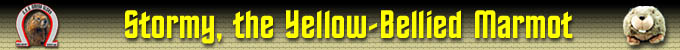 [Stormy header: click to return home]