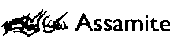 Assamite