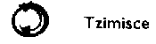 Tzimisce