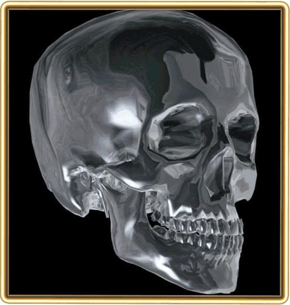 Forensic Antropology