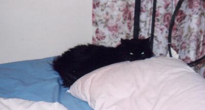 bed2.jpg