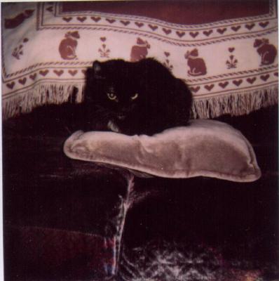couch2.jpg