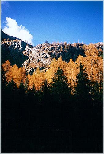 Autunno