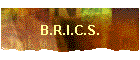 B.R.I.C.S.