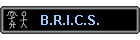 B.R.I.C.S.
