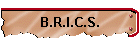 B.R.I.C.S.