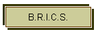 B.R.I.C.S.