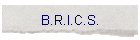 B.R.I.C.S.
