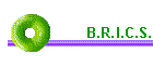 B.R.I.C.S.