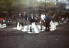 Play a big game of chess in the park