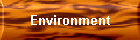 Environment