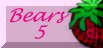 Fifth Bear Page