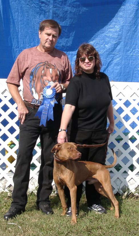 Lil Red gets 1st place in the 18-24 month male class.
