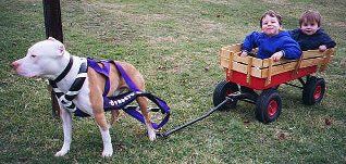Frosty pulling kids in wagon