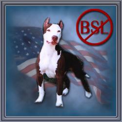 Please Stop Breed Specific Legislation.