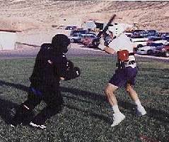 foot_pursuit_2.jpg (14007 bytes)