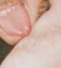 dirty, dirty, dirty, porn of Drenzy lickin.....