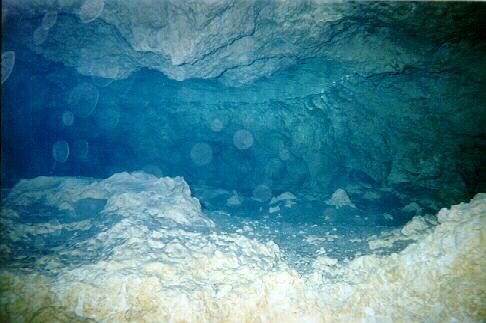 dive pic