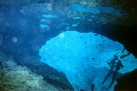 dive pic