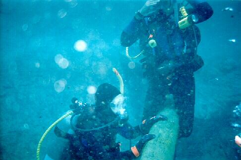 dive pic