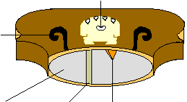 half section of a violin