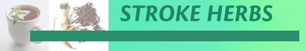 Stroke Herbs Diabetes Herbal Treatment